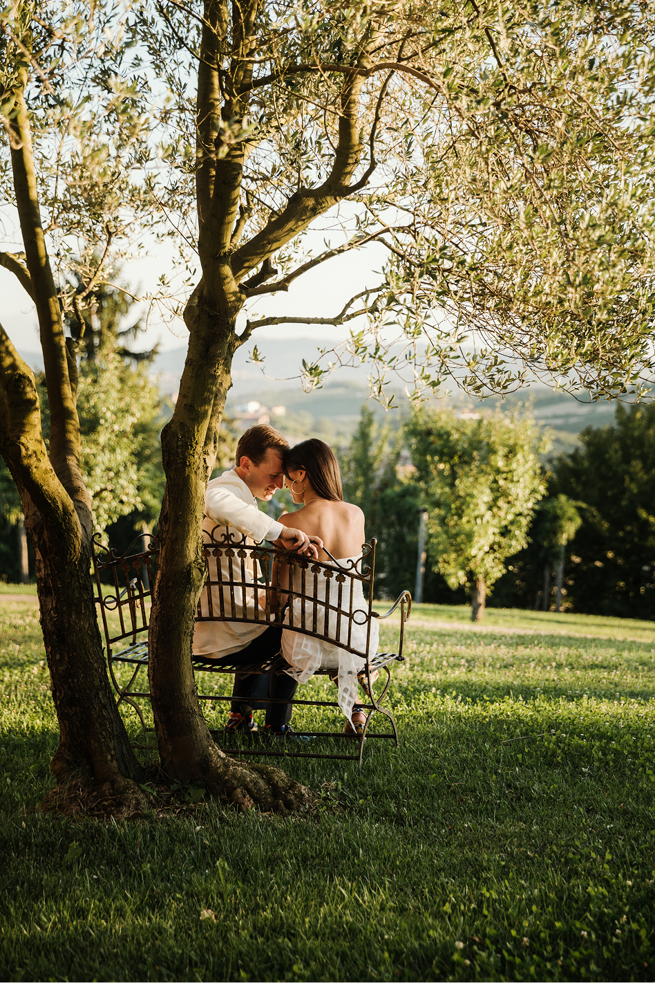 Couple sitting close together on a bench beneath an olive tree